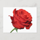 Suche nach blanke poster Denken sie an sie