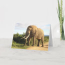 Suche nach südafrika postkarten karten Africa