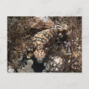 Suche nach gila poster Wüste