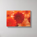 Suche nach orange gerbera kunst Daisy