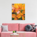 Suche nach lilie leinwandbilder Botanisch