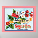 Suche nach primzahlen poster Rosa