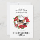 Suche nach langhaarig karten Chihuahua