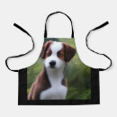 Suche nach border collie schürzen Welpe