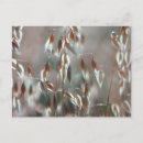 Suche nach reifen postkarten Farbbild