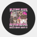 Suche nach lustige katzen aufkleber Meme
