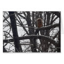 Suche nach eichhörnchen foto postkarten Urlaub