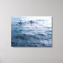 Suche nach orca leinwandbilder Ozean