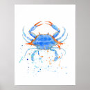 Suche nach blaue krabbe poster Aquarell