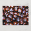 Suche nach kastanie postkarten Obst