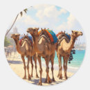 Suche nach kamele aufkleber Reise