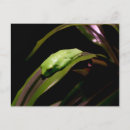 Suche nach schlicht postkarten Blatt