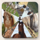 Suche nach appaloosa untersetzer Pony