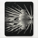 Suche nach kiesel mousepads Wasser