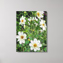 Suche nach dahlien leinwandbilder Flora