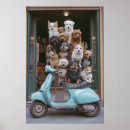 Suche nach hunde fotografie poster Dogs