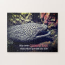 Suche nach morast Fisch