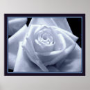 Suche nach die blues poster Schwarz