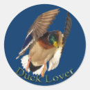 Suche nach drake aufkleber Stockkarten