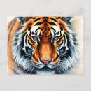 Suche nach orange augen postkarten Tiger