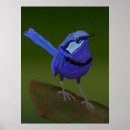 Suche nach niedliche vögel poster Blau
