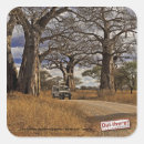 Suche nach baobab aufkleber Natur