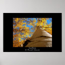 Suche nach aspen poster Baum