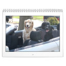 Suche nach 2010 büro zubehör Tiere