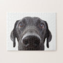 Suche nach schwarzer labrador puzzle Welpe