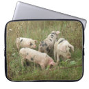 Suche nach rosa schwein laptop schutzhüllen Schweine