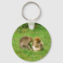 Suche nach affen schlüsselanhänger Primate