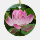 Suche nach lotus ornamente Natur