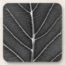 Suche nach adern untersetzer Natur