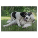 Suche nach welpe schneidebrettchen Reinrassiger hund