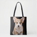 Suche nach corgi taschen Haustier