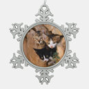 Suche nach drei ornamente Haustier