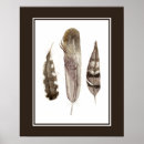 Suche nach braun poster Vogel