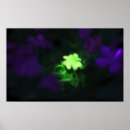 Suche nach glücksbringer poster Klee