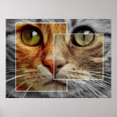 Suche nach niedliche poster Haustier