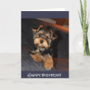 Suche nach yorkshire terrier karten Yorkie