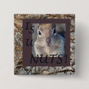 Suche nach nuss buttons Eichhörnchen