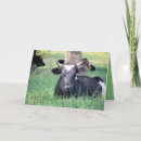 Suche nach weide karten Vieh