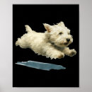 Suche nach hunde fotografie poster Drucken