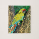 Suche nach ara puzzle Bunt