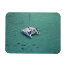 Suche nach fidschi magnete Küste