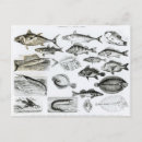 Suche nach zoologie poster Schoolfish