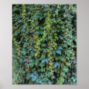 Suche nach wall hanging poster Natur