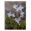 Suche nach blüten kleine notizbücher Frühling
