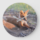Suche nach füchse poster wanduhren Tierwelt