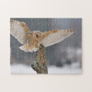 Suche nach schleiereule puzzle Scheune
